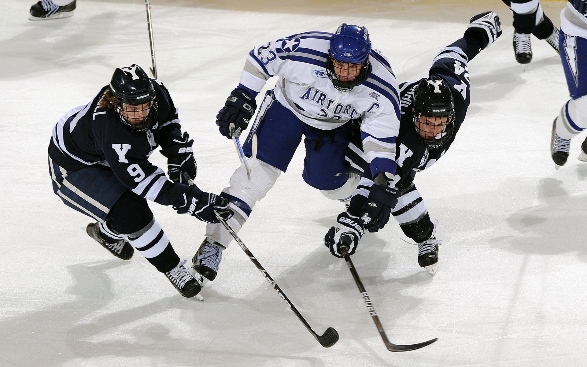 鱼鹰球迷聚集球场助威，为球队加油助力获胜，鱼鹰表演