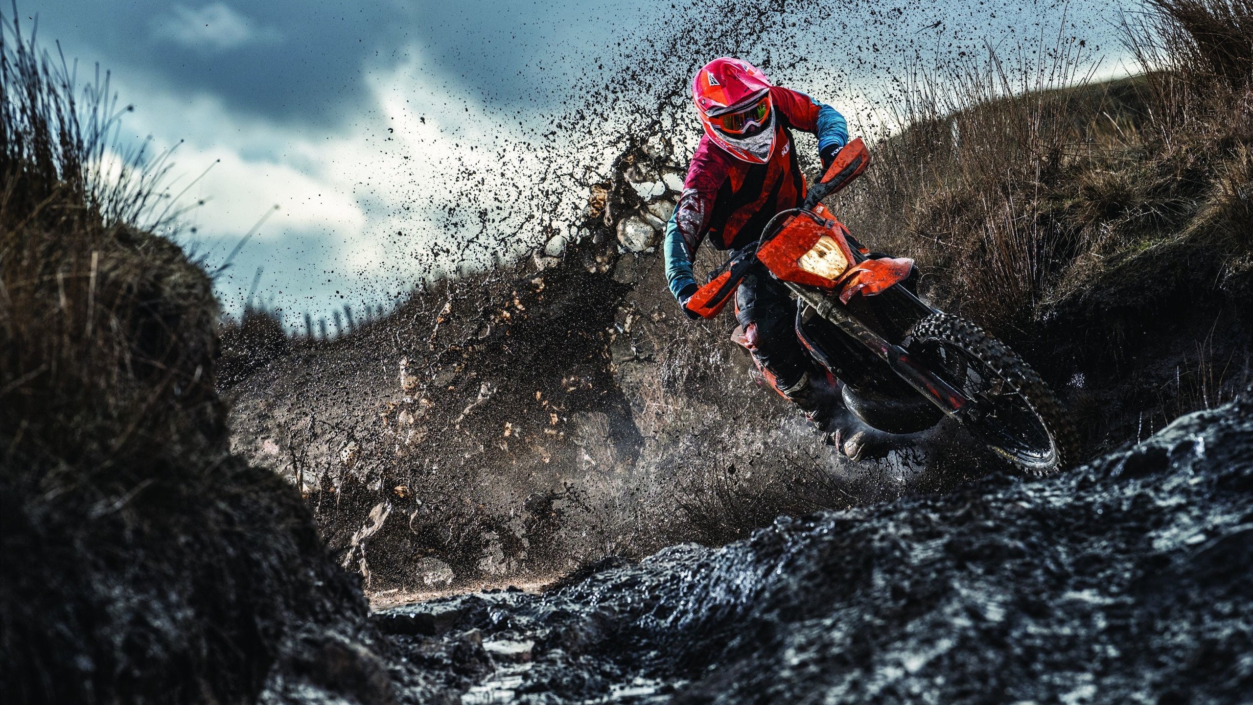 “超级劲旅崛起:黑马球队的逆袭故事”