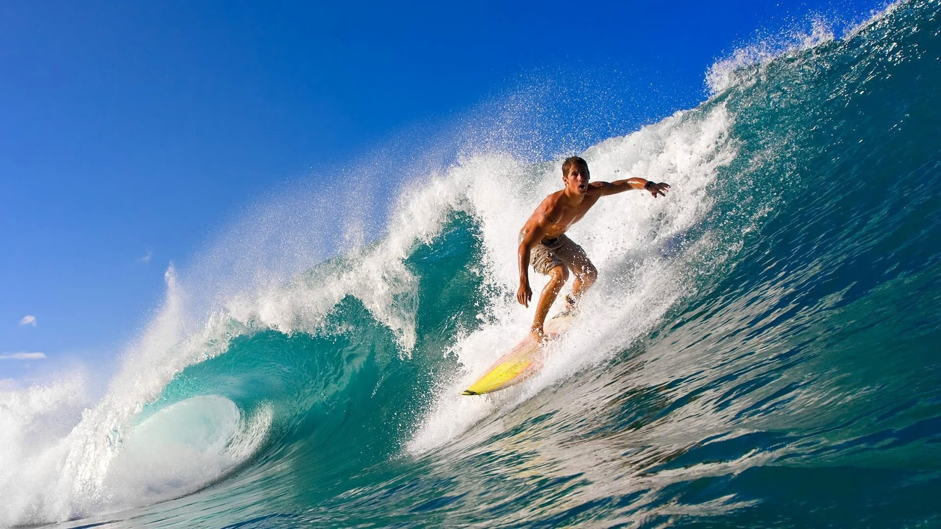 史上最大“黑马登顶”赛：逆境中的奇迹，2021 黑马